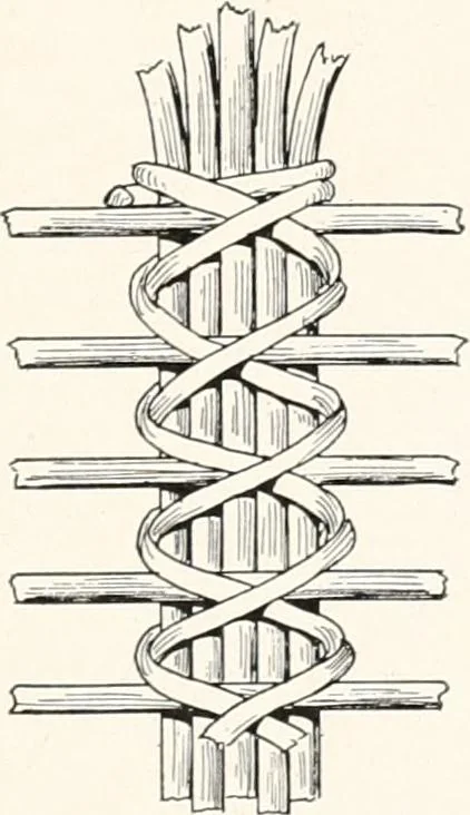 An illustration from How to make Indian and other baskets, 1903, leaf 88