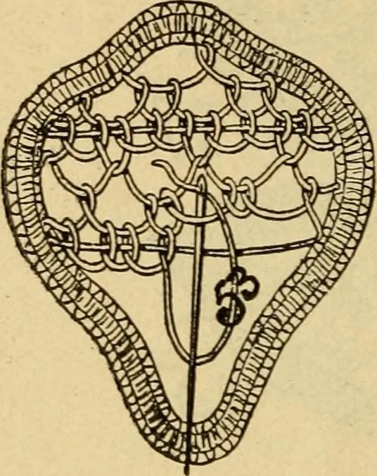 An illustration from How to make lace., 1899, leaf 15
