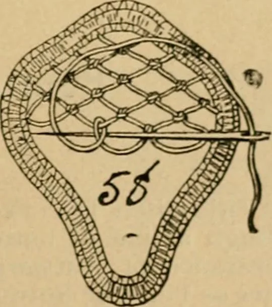 An illustration from How to make lace., 1899, leaf 16