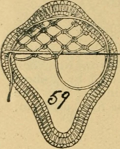 An illustration from How to make lace., 1899, leaf 17