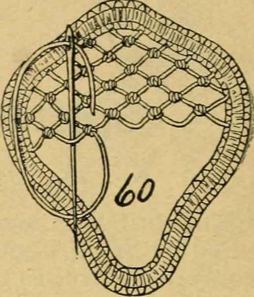 An illustration from How to make lace., 1899, leaf 17