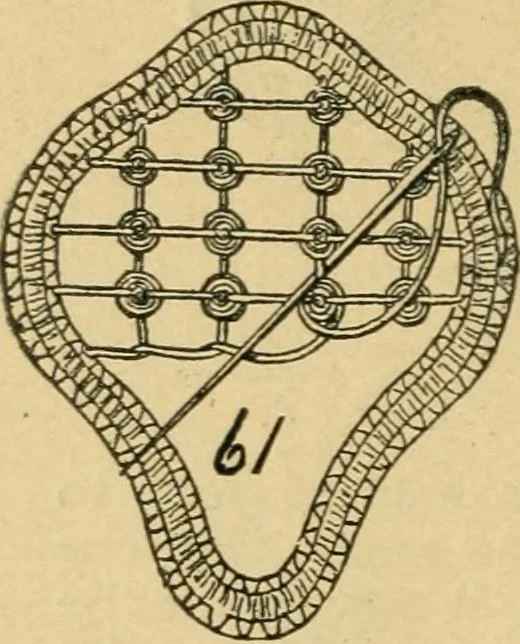 An illustration from How to make lace., 1899, leaf 17