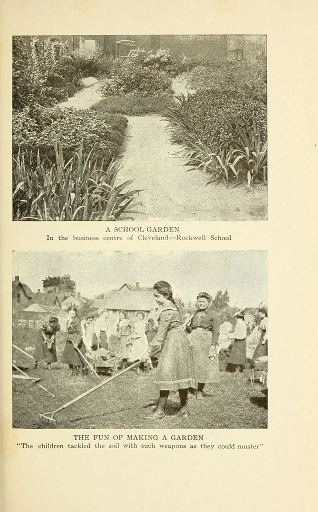 An illustration from How to make school gardens; a manual for teachers and pupils, 1903, leaf 115