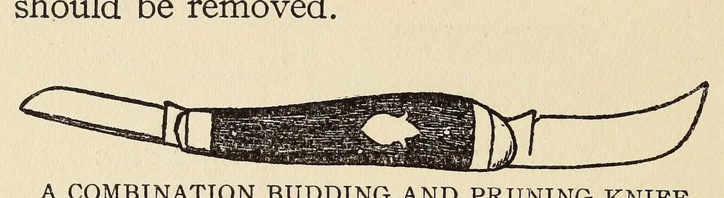 An illustration from How to make school gardens; a manual for teachers and pupils, 1903, leaf 132