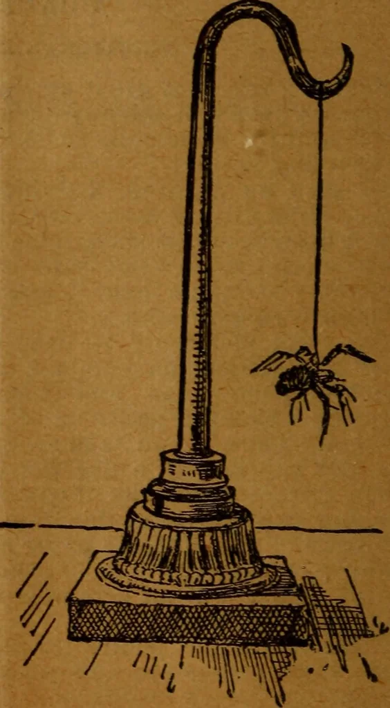 An illustration from How to make and use electricity .., 1889, leaf 11