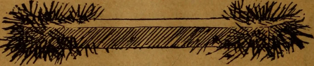 An illustration from How to make and use electricity .., 1889, leaf 37