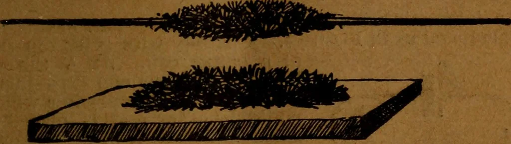 An illustration from How to make and use electricity .., 1889, leaf 38