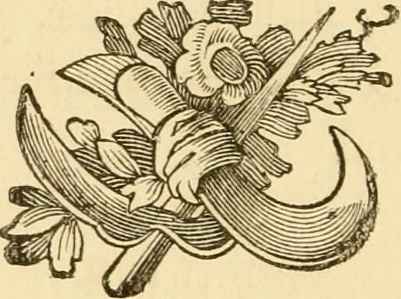 An illustration from How to paint : a complete compendium of the art. Designed for the use of the tradesman, mechanic, merchant, and farmer, and to guide the professional painter ... / by F. B. Gardner ..., 1880, leaf 37