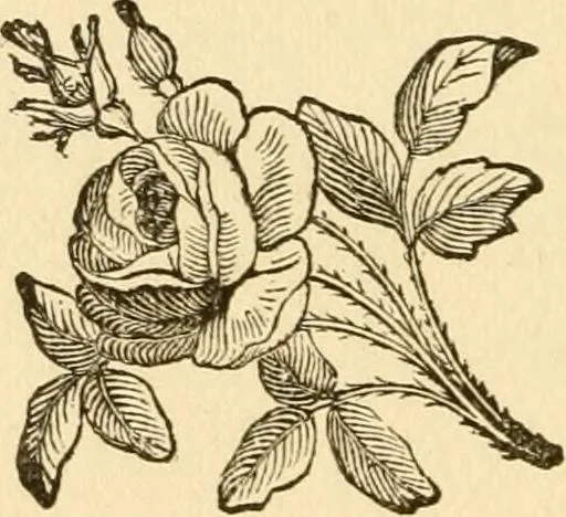 An illustration from How to paint : a complete compendium of the art. Designed for the use of the tradesman, mechanic, merchant, and farmer, and to guide the professional painter ... / by F. B. Gardner ..., 1880, leaf 45