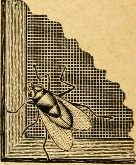 An illustration from How to paint; directions for applying paint and varnish with best results .., 1904, leaf 7