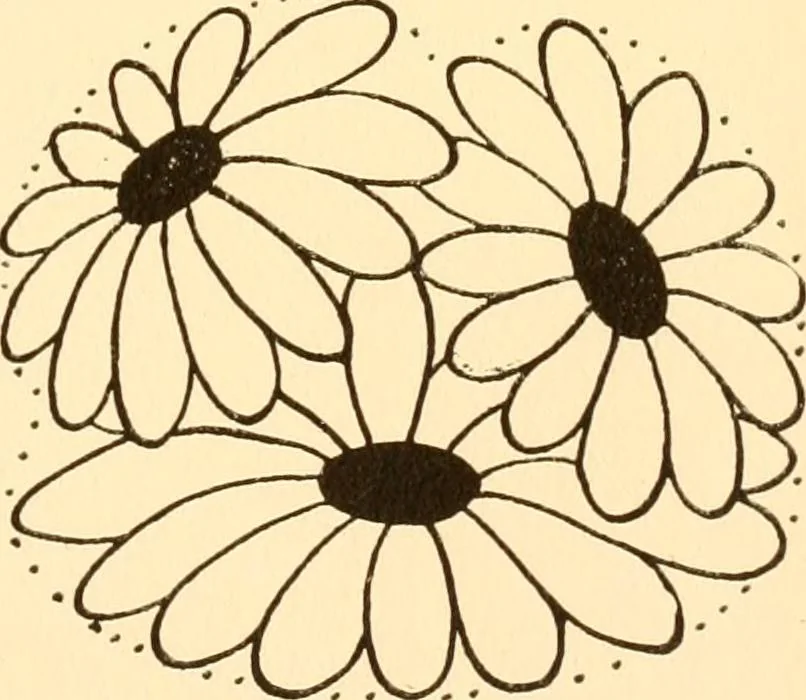 An illustration from How to paint flowers, scrolls and fancy borders for up-to-date show cards, posters, display signs and decorating, 1915, leaf 10