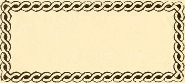 An illustration from How to paint flowers, scrolls and fancy borders for up-to-date show cards, posters, display signs and decorating, 1915, leaf 105