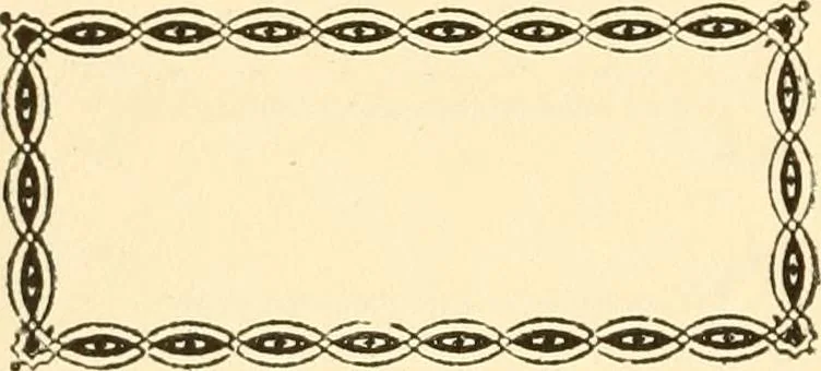 An illustration from How to paint flowers, scrolls and fancy borders for up-to-date show cards, posters, display signs and decorating, 1915, leaf 105