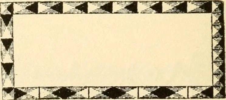 An illustration from How to paint flowers, scrolls and fancy borders for up-to-date show cards, posters, display signs and decorating, 1915, leaf 105