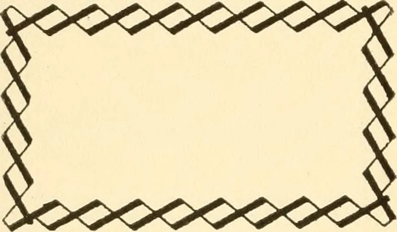 An illustration from How to paint flowers, scrolls and fancy borders for up-to-date show cards, posters, display signs and decorating, 1915, leaf 107