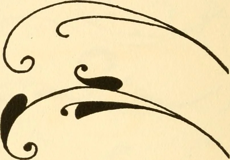 An illustration from How to paint flowers, scrolls and fancy borders for up-to-date show cards, posters, display signs and decorating, 1915, leaf 117