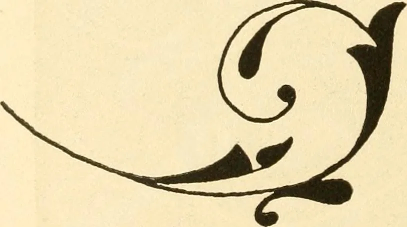 An illustration from How to paint flowers, scrolls and fancy borders for up-to-date show cards, posters, display signs and decorating, 1915, leaf 121