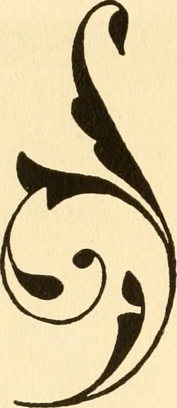 An illustration from How to paint flowers, scrolls and fancy borders for up-to-date show cards, posters, display signs and decorating, 1915, leaf 123