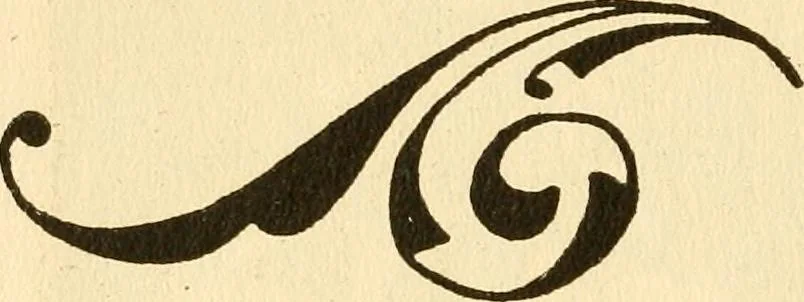 An illustration from How to paint flowers, scrolls and fancy borders for up-to-date show cards, posters, display signs and decorating, 1915, leaf 127