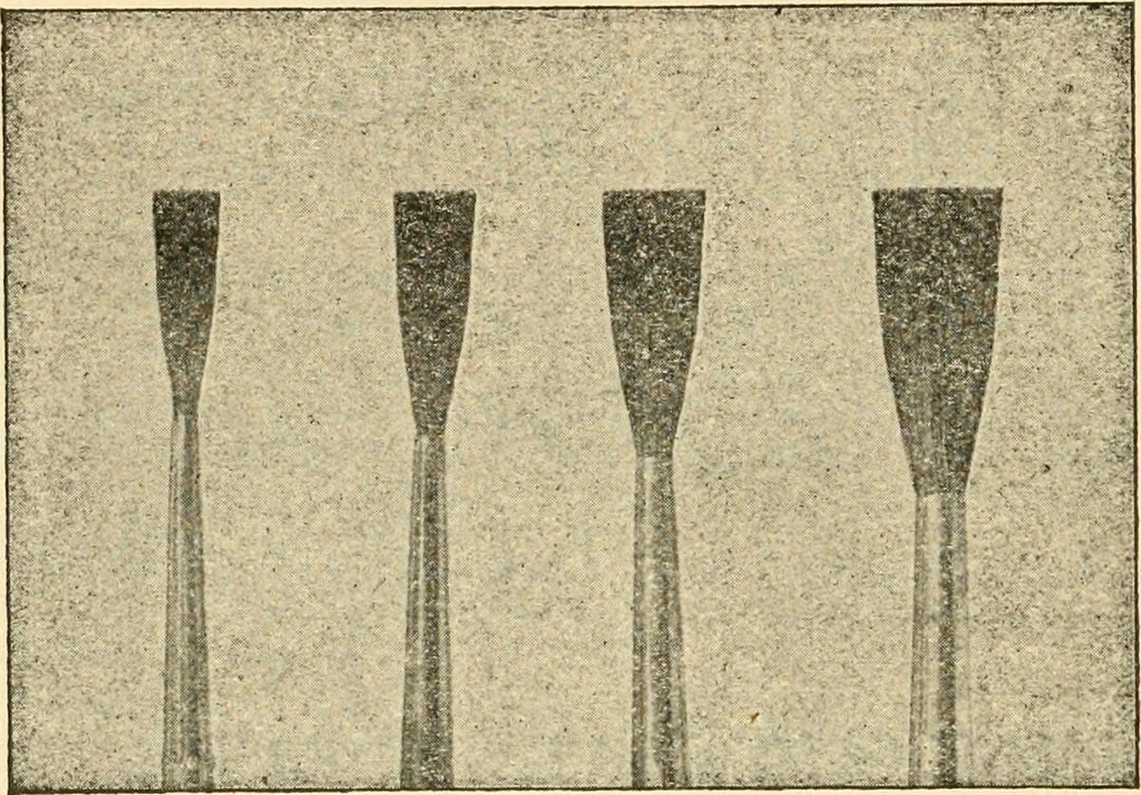 An illustration from How to paint flowers, scrolls and fancy borders for up-to-date show cards, posters, display signs and decorating, 1915, leaf 137