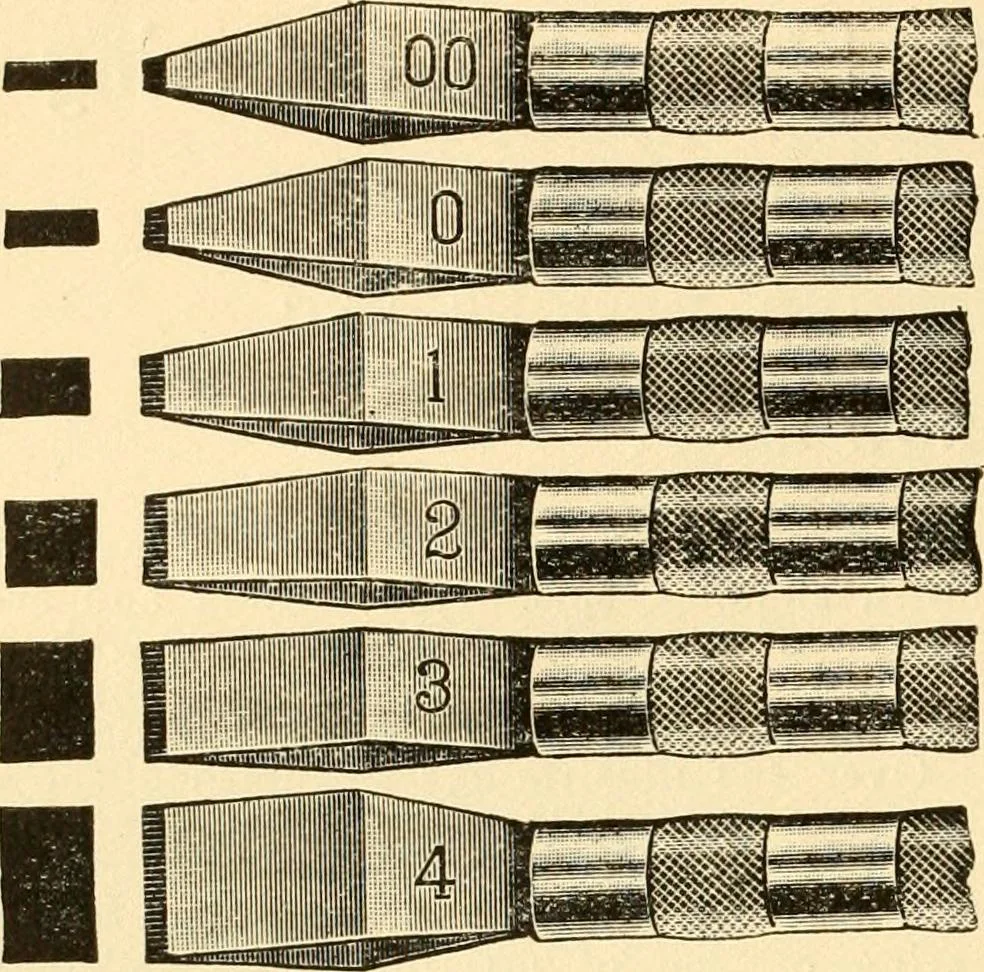 An illustration from How to paint flowers, scrolls and fancy borders for up-to-date show cards, posters, display signs and decorating, 1915, leaf 139