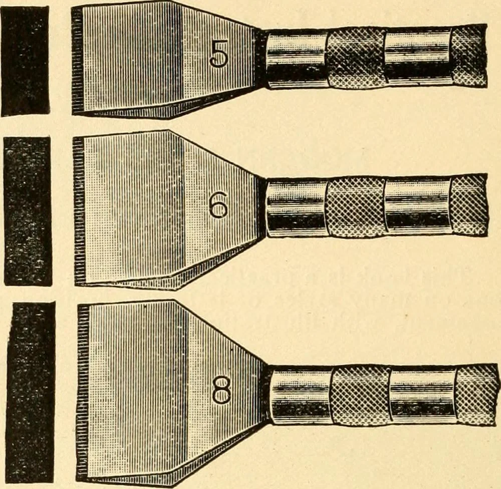 An illustration from How to paint flowers, scrolls and fancy borders for up-to-date show cards, posters, display signs and decorating, 1915, leaf 139