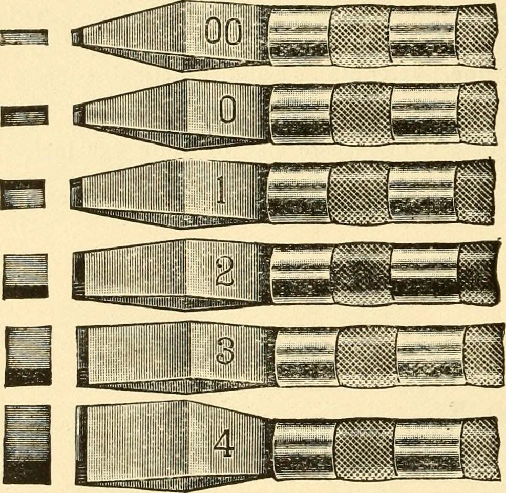 An illustration from How to paint flowers, scrolls and fancy borders for up-to-date show cards, posters, display signs and decorating, 1915, leaf 139