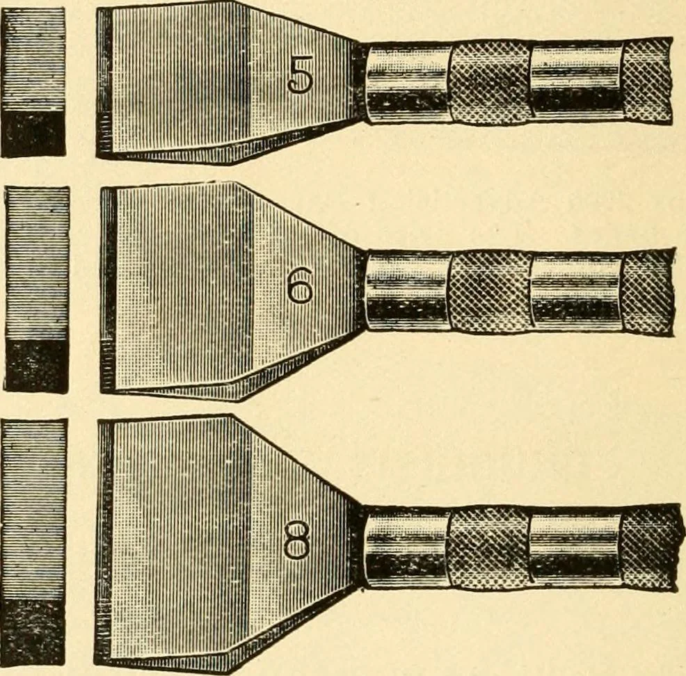 An illustration from How to paint flowers, scrolls and fancy borders for up-to-date show cards, posters, display signs and decorating, 1915, leaf 139