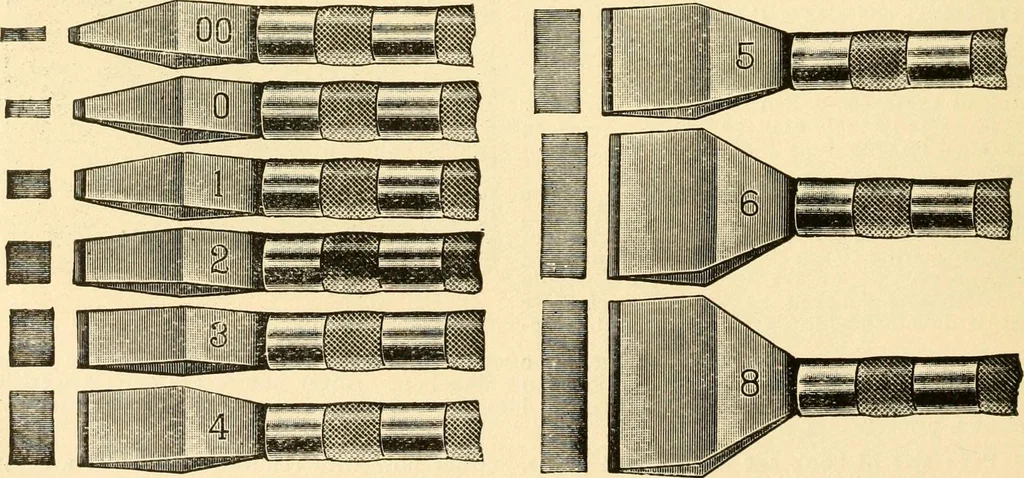 An illustration from How to paint flowers, scrolls and fancy borders for up-to-date show cards, posters, display signs and decorating, 1915, leaf 139