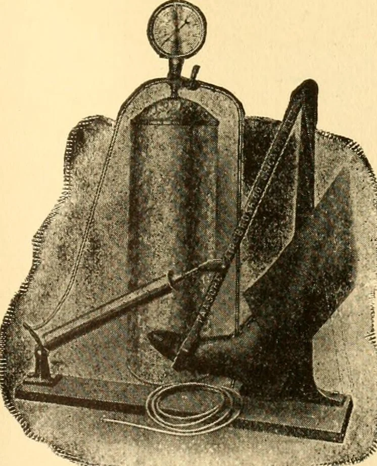 An illustration from How to paint flowers, scrolls and fancy borders for up-to-date show cards, posters, display signs and decorating, 1915, leaf 144