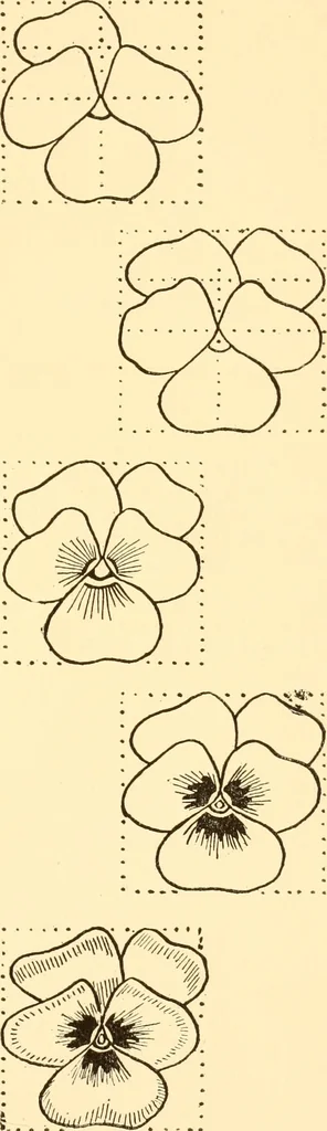 An illustration from How to paint flowers, scrolls and fancy borders for up-to-date show cards, posters, display signs and decorating, 1915, leaf 16
