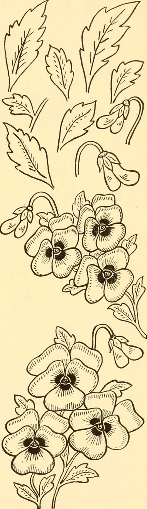 An illustration from How to paint flowers, scrolls and fancy borders for up-to-date show cards, posters, display signs and decorating, 1915, leaf 18