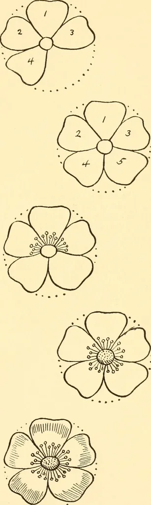 An illustration from How to paint flowers, scrolls and fancy borders for up-to-date show cards, posters, display signs and decorating, 1915, leaf 22