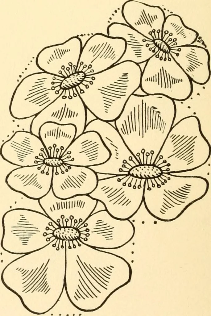 An illustration from How to paint flowers, scrolls and fancy borders for up-to-date show cards, posters, display signs and decorating, 1915, leaf 25