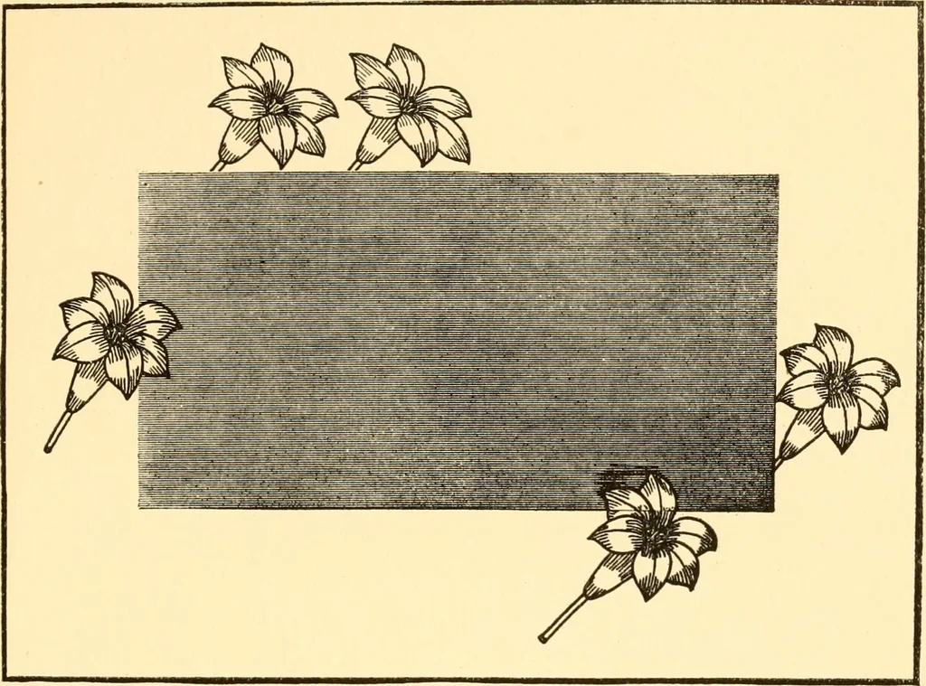 An illustration from How to paint flowers, scrolls and fancy borders for up-to-date show cards, posters, display signs and decorating, 1915, leaf 38