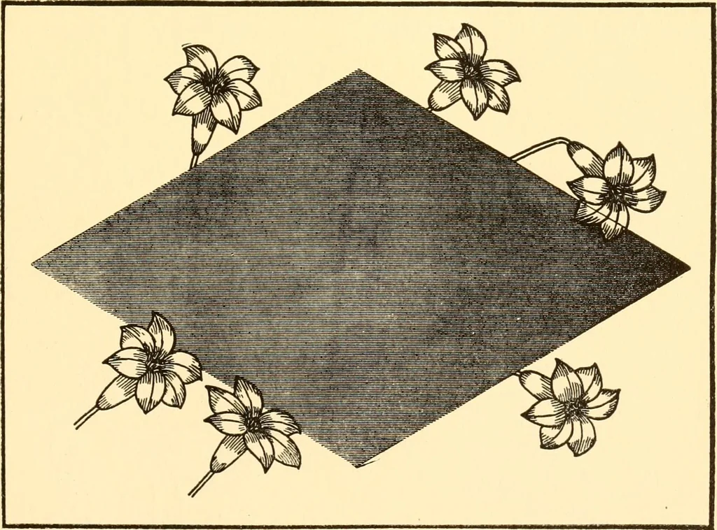 An illustration from How to paint flowers, scrolls and fancy borders for up-to-date show cards, posters, display signs and decorating, 1915, leaf 38