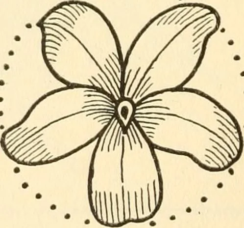 An illustration from How to paint flowers, scrolls and fancy borders for up-to-date show cards, posters, display signs and decorating, 1915, leaf 39