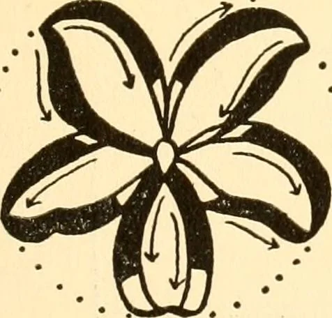 An illustration from How to paint flowers, scrolls and fancy borders for up-to-date show cards, posters, display signs and decorating, 1915, leaf 42