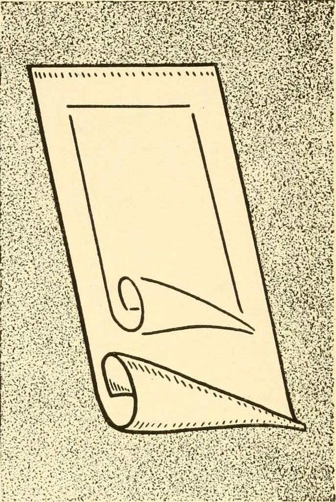 An illustration from How to paint flowers, scrolls and fancy borders for up-to-date show cards, posters, display signs and decorating, 1915, leaf 59