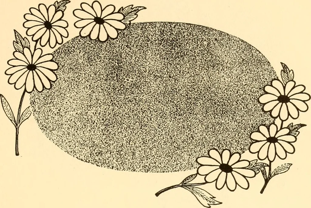 An illustration from How to paint flowers, scrolls and fancy borders for up-to-date show cards, posters, display signs and decorating, 1915, leaf 66