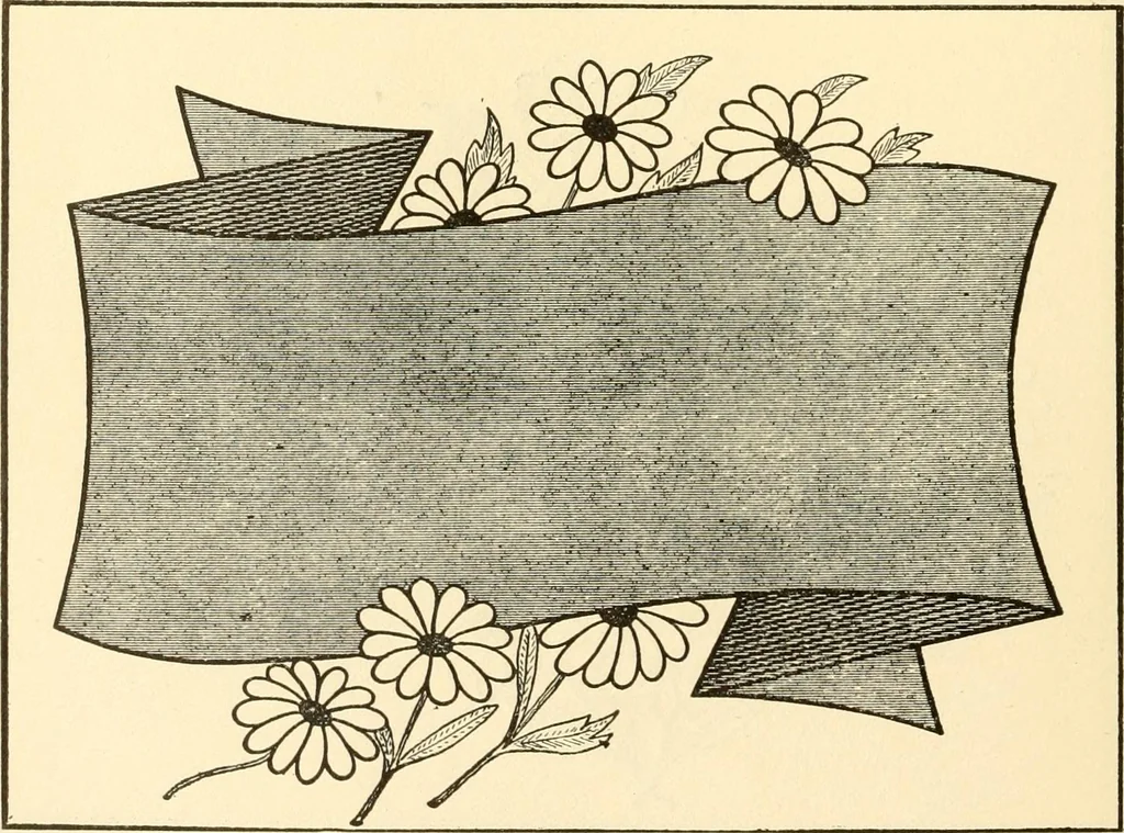 An illustration from How to paint flowers, scrolls and fancy borders for up-to-date show cards, posters, display signs and decorating, 1915, leaf 67
