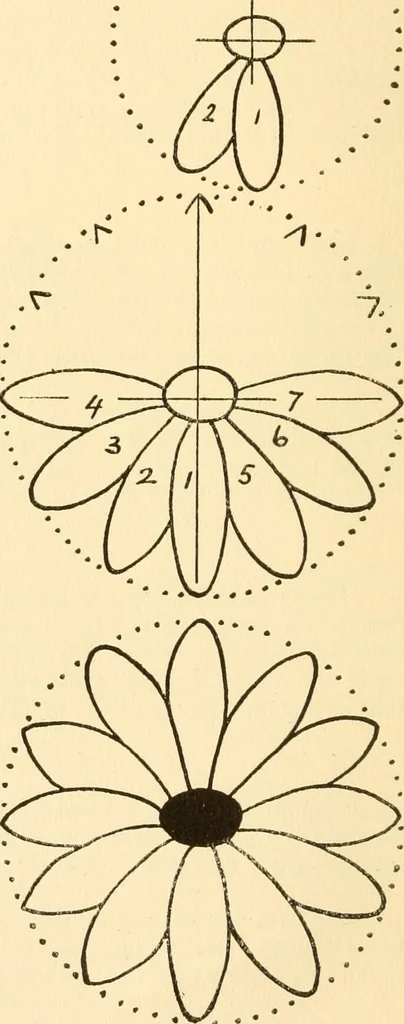 An illustration from How to paint flowers, scrolls and fancy borders for up-to-date show cards, posters, display signs and decorating, 1915, leaf 7
