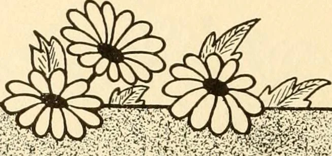 An illustration from How to paint flowers, scrolls and fancy borders for up-to-date show cards, posters, display signs and decorating, 1915, leaf 71