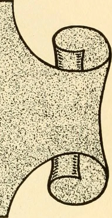 An illustration from How to paint flowers, scrolls and fancy borders for up-to-date show cards, posters, display signs and decorating, 1915, leaf 71
