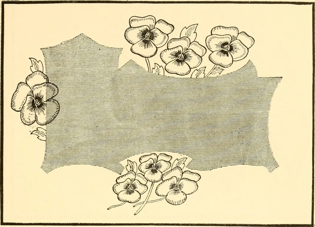 An illustration from How to paint flowers, scrolls and fancy borders for up-to-date show cards, posters, display signs and decorating, 1915, leaf 76