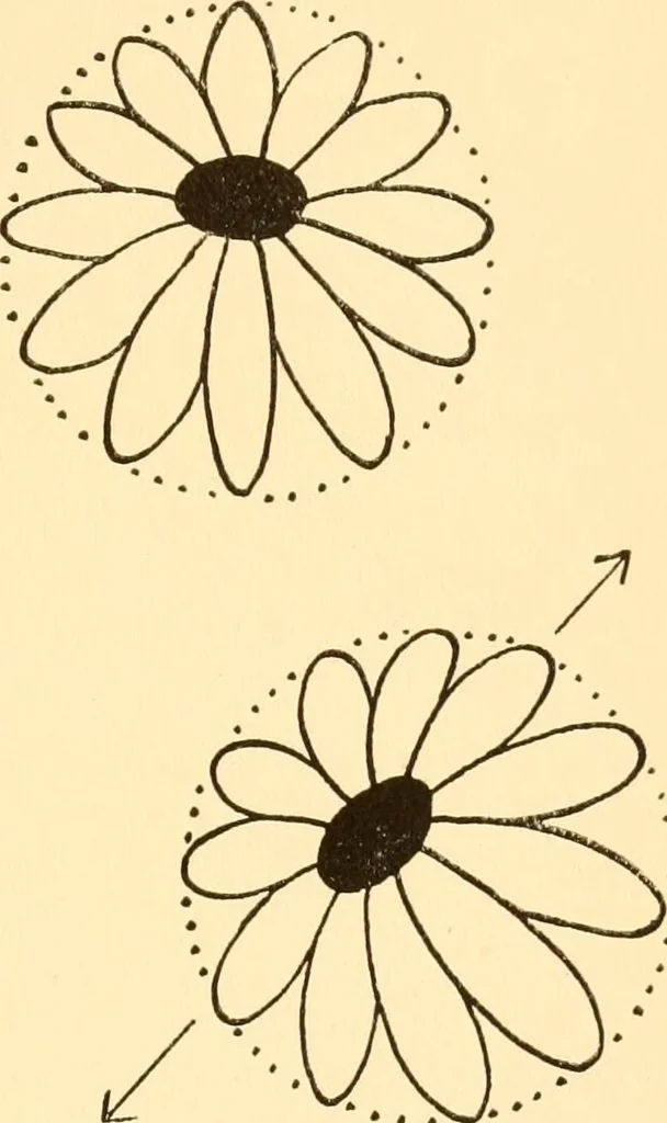 An illustration from How to paint flowers, scrolls and fancy borders for up-to-date show cards, posters, display signs and decorating, 1915, leaf 8