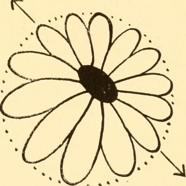 An illustration from How to paint flowers, scrolls and fancy borders for up-to-date show cards, posters, display signs and decorating, 1915, leaf 8