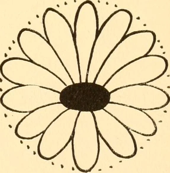 An illustration from How to paint flowers, scrolls and fancy borders for up-to-date show cards, posters, display signs and decorating, 1915, leaf 8