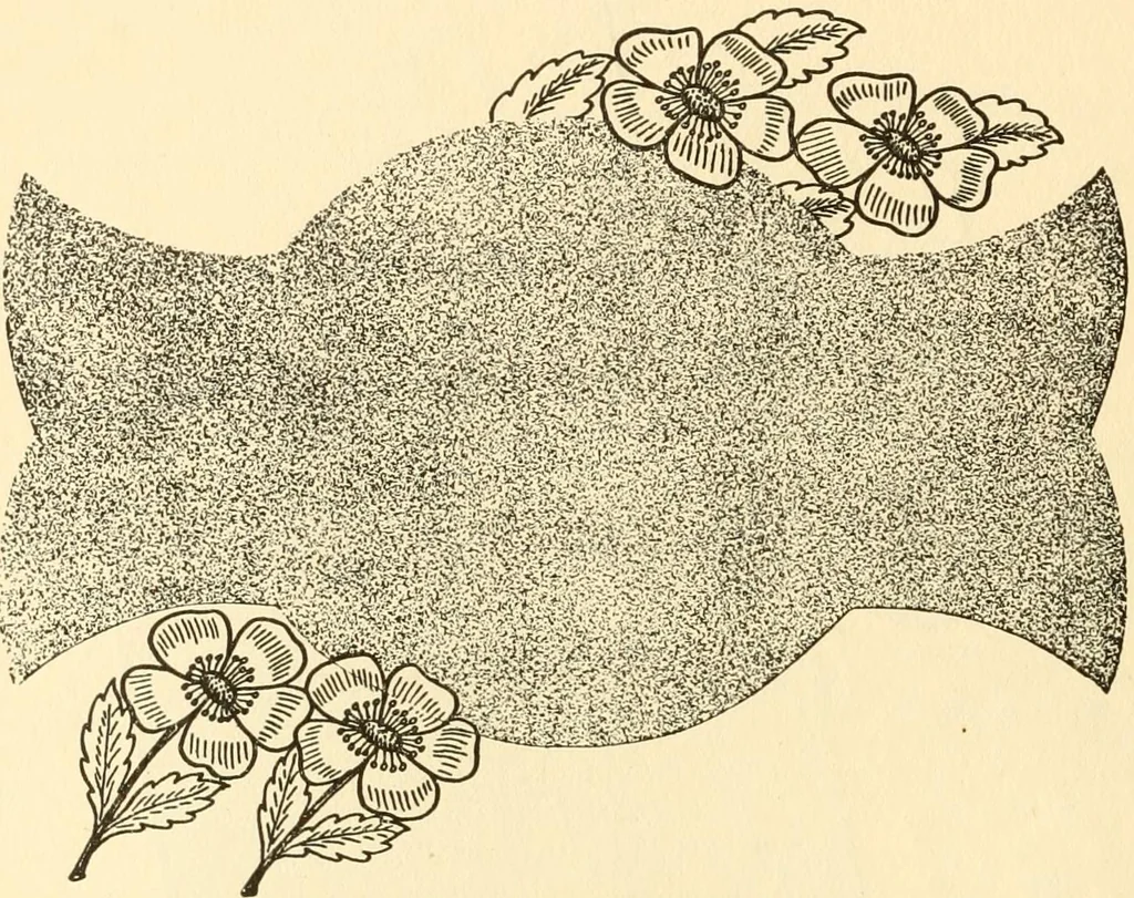 An illustration from How to paint flowers, scrolls and fancy borders for up-to-date show cards, posters, display signs and decorating, 1915, leaf 83