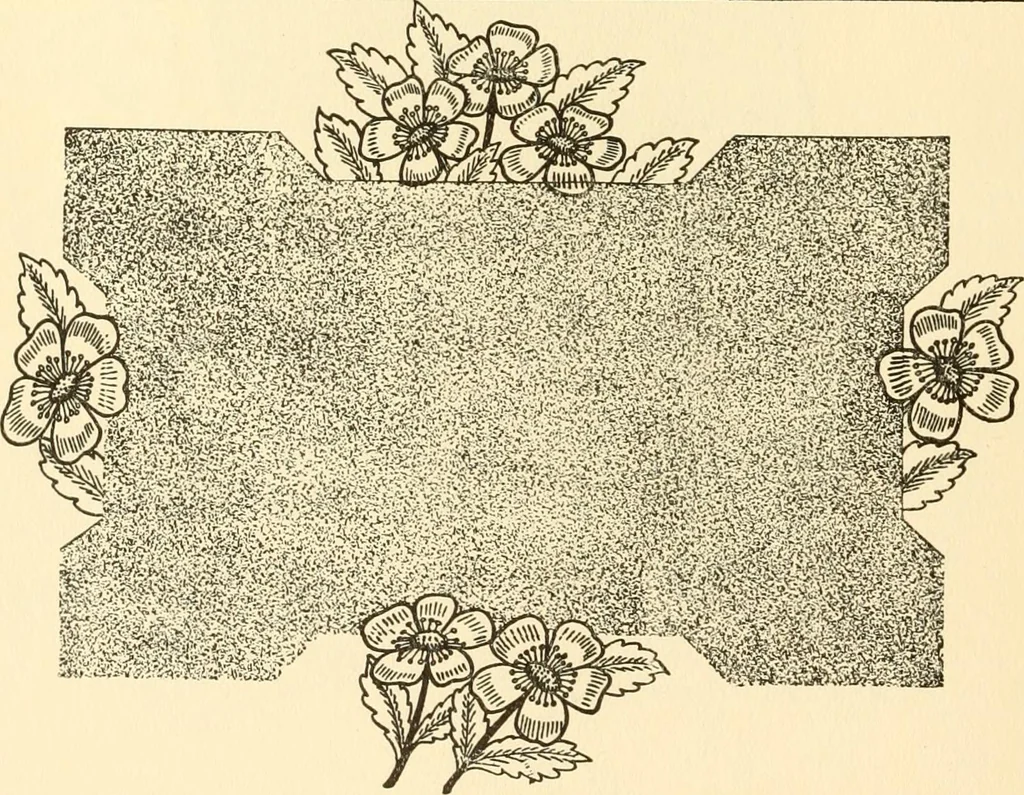 An illustration from How to paint flowers, scrolls and fancy borders for up-to-date show cards, posters, display signs and decorating, 1915, leaf 83